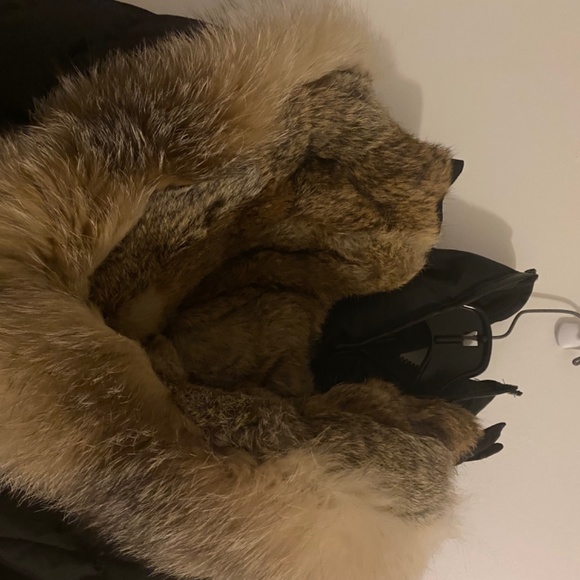 Pajar jacket - Picture 2 of 5